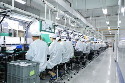 技術優(yōu)勢與薪酬失衡 當技術轉讓挑戰(zhàn)職場公平